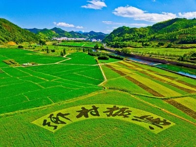 乡村振兴工作动态 （第145期）