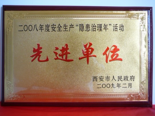 2009年2月，被西安市人民政府评为2008年度安全生产“隐患治理年”活动先进单位